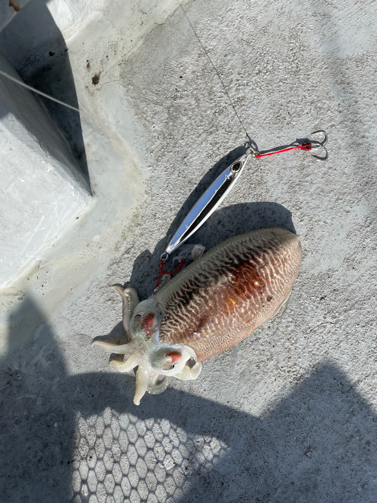 五目スロージギング