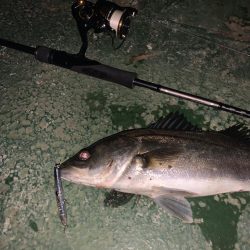 アミパターン？