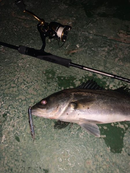 アミパターン？