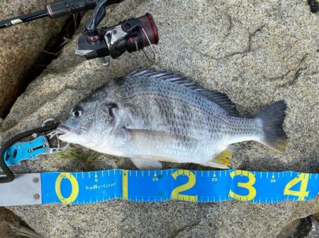 淀川ブリームゲーム　22年ファーストフィッ…