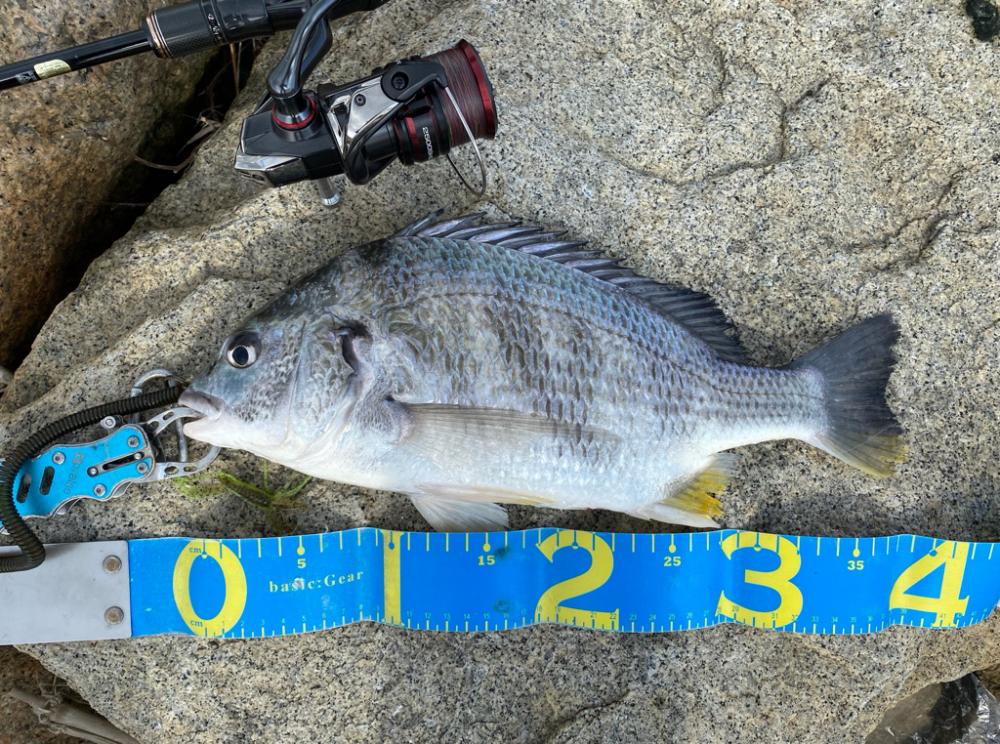 淀川ブリームゲーム 22年ファーストフィッシュ