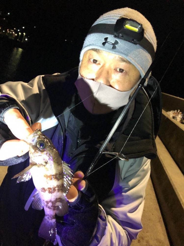 坊勢島の調査(  ‘-‘ )