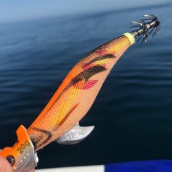 餌木蔵TRシンカーとベイトフェザーでティップラン