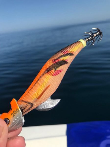 餌木蔵TRシンカーとベイトフェザーでティップラン