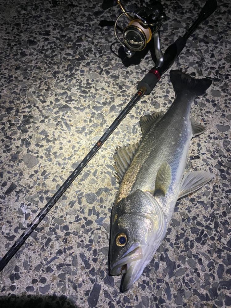 小物プラッキング