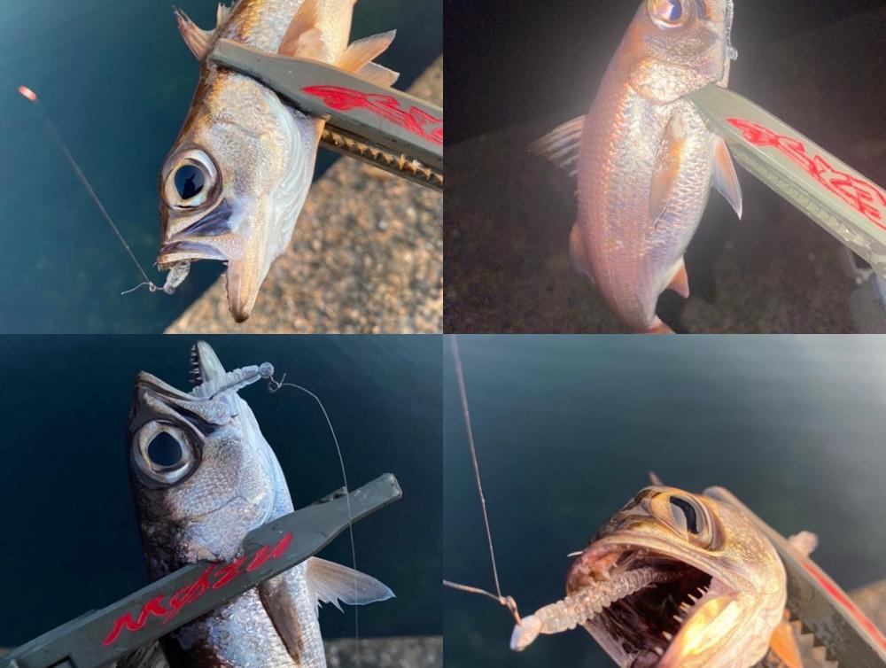 久しぶりの朝活