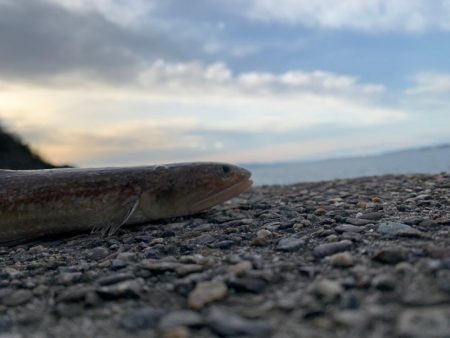 ライトロックゲーム