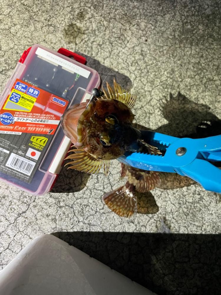 ガシリングからの