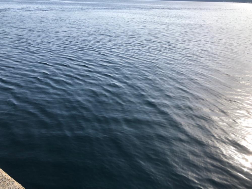 ぽかぽか天気にヤリました