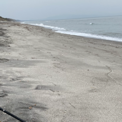 座布団もう一枚？！