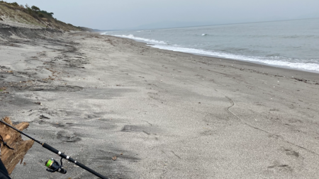 座布団もう一枚？！