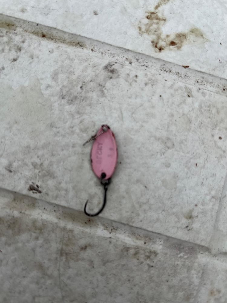 服部フィッシングパーク