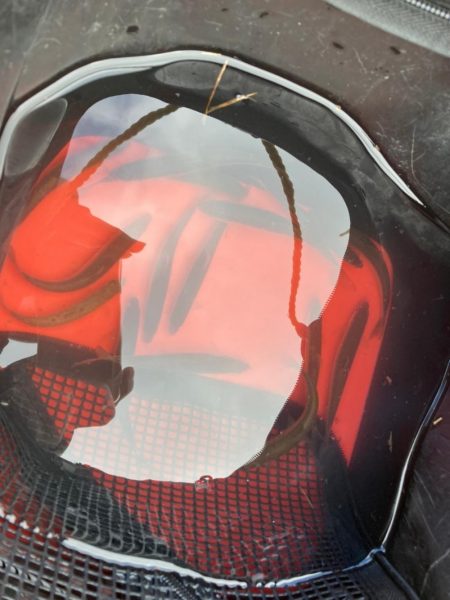 ホンモロコ釣り