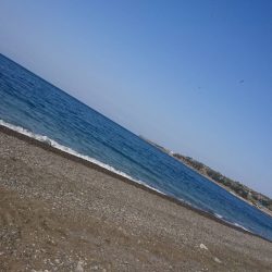 釣り再開後、やっとこましな獲物!