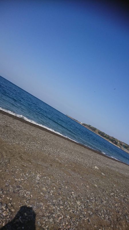 釣り再開後、やっとこましな獲物!