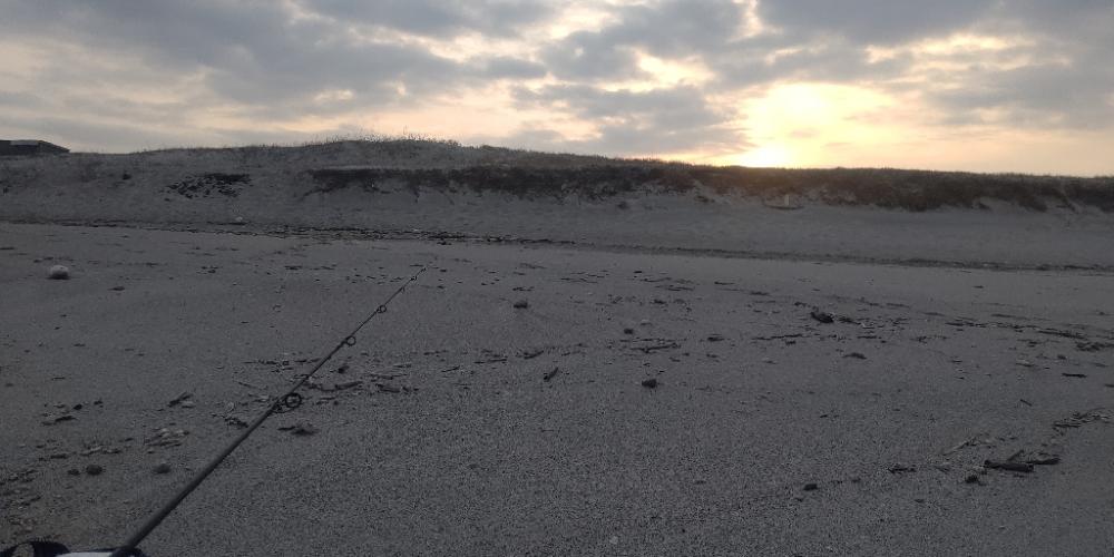 吹上浜にてサゴシ