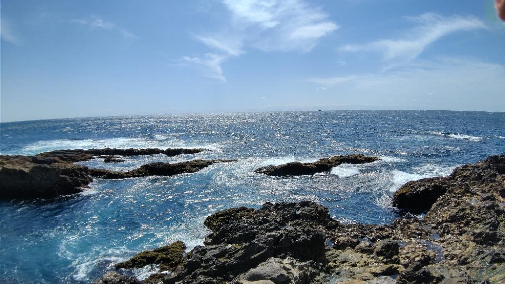 春や!春ですよ!