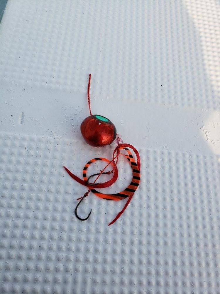 タイラバサビキ