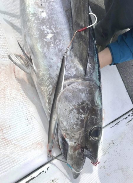 当たると良型！！