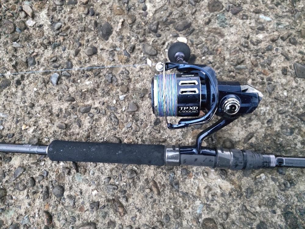 ショアキャスティング