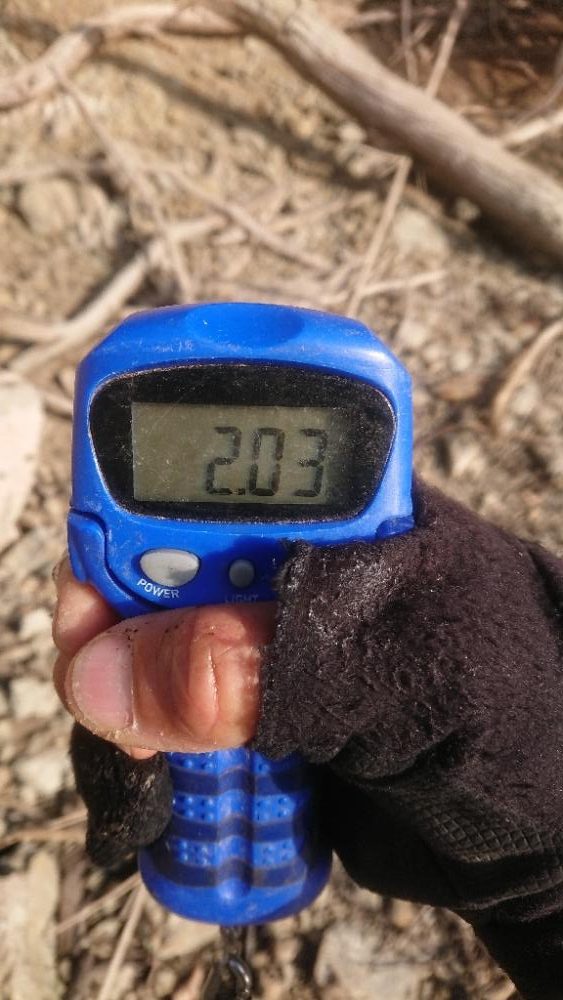 ようやく初バス