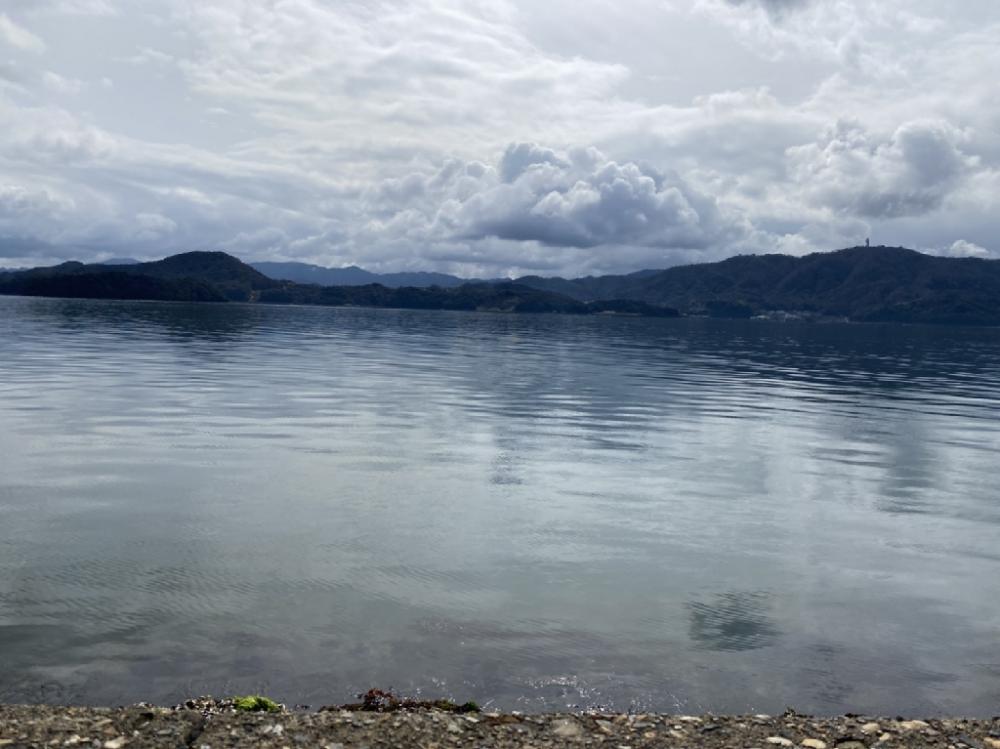 久しぶりのサゴシ