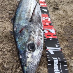 ショアプラッキング