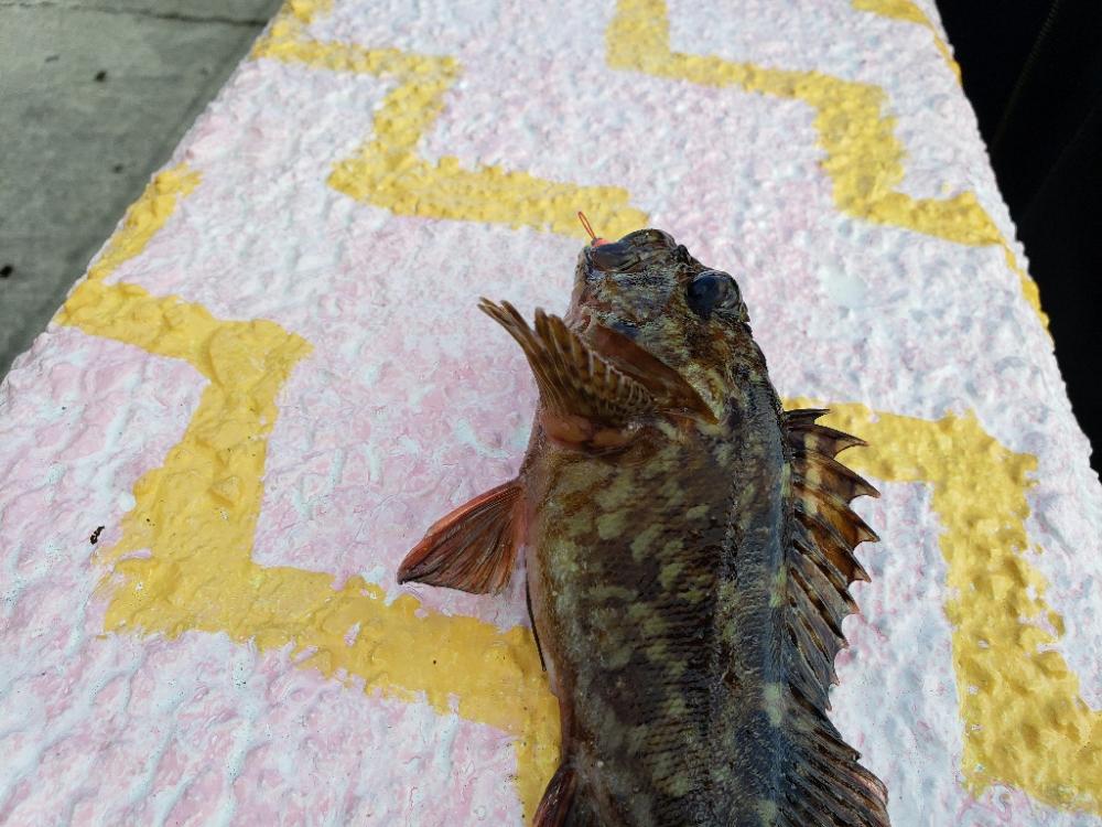 まだまだ渋い季節