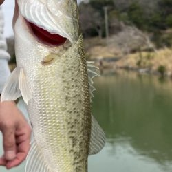 シーズン開幕！