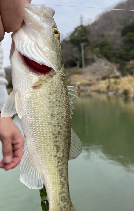 シーズン開幕！