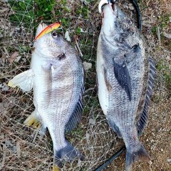 レバーブレーキルアーフィッシング