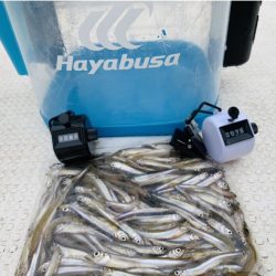 【竜門ダム(班蛇口湖)】ワカサギ釣り終盤 サイトでも釣れ79匹手中