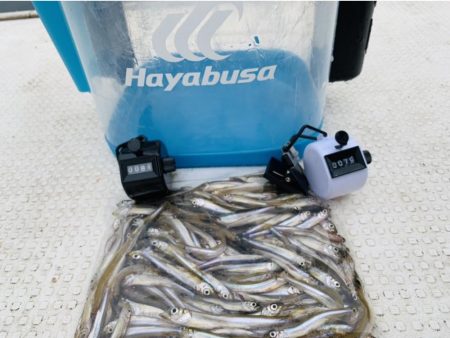 【竜門ダム(班蛇口湖)】ワカサギ釣り終盤　…