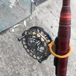 ヘチ釣りでキビレGET