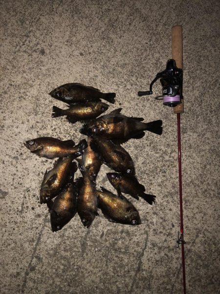 メバルの注文承りました。