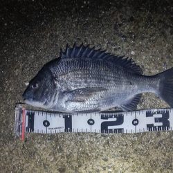 今年やっと満足できた