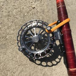 ヘチ釣りでキビレ＆チャイロマルハタGET