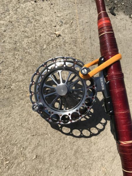 ヘチ釣りでキビレ＆チャイロマルハタGET