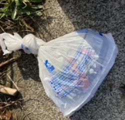 ドブ川はハク絨毯