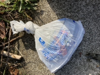 ドブ川はハク絨毯