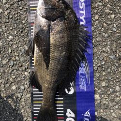 イチノ兄弟、釣果！