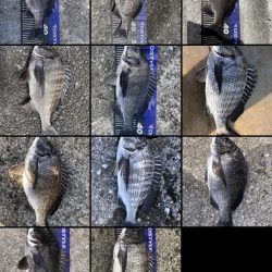 イチノ兄弟、釣果!