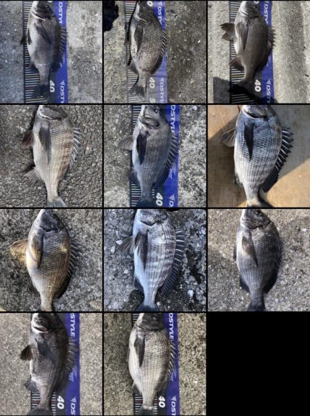 イチノ兄弟、釣果!