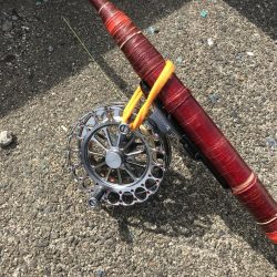 ヘチ釣りで本命チヌGET