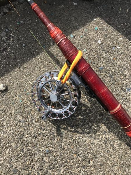 ヘチ釣りで本命チヌGET