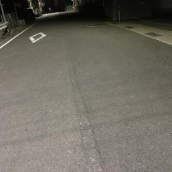 今年初シーバス