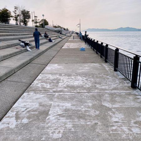 アジを求めてたけど