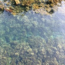 このエリアは私が投稿します☆