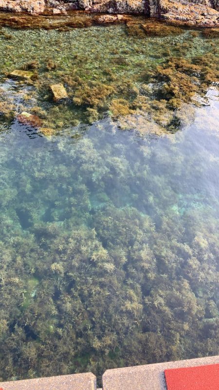 このエリアは私が投稿します☆