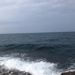 今日もトップで